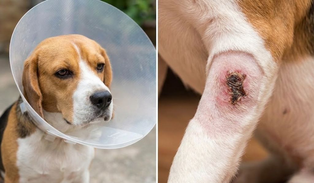 Hot Spot Healing Stages